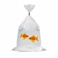 Clear Watertight Polythene Bags