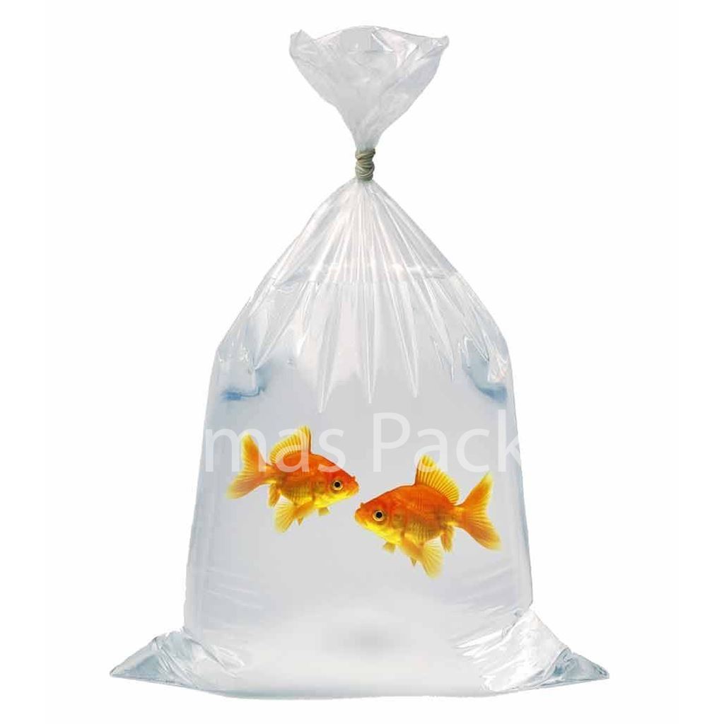 Clear Watertight Polythene Bags